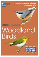 Rspb Id Spotlight - Woodland Birds di Marianne Taylor edito da Bloomsbury Publishing Plc