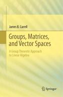 Groups, Matrices, and Vector Spaces di James B. Carrell edito da Springer-Verlag New York Inc.