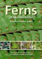 Ferns Of Southern Africa di Neil R. Crouch, Ronell R. Klopper, John Burrows, Sandra M. Burrows edito da Struik Publishers (pty) Ltd