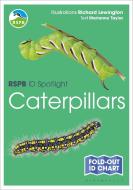 Rspb Id Spotlight - Caterpillars di Marianne Taylor edito da Bloomsbury Publishing Plc