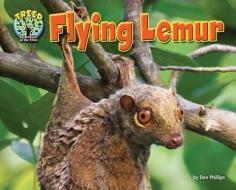 Flying Lemur di Dee Phillips edito da BEARPORT PUB CO INC