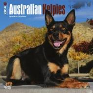 Australian Kelpies Calendar edito da Browntrout Publishers