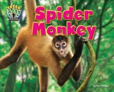 Spider Monkey di Dee Phillips edito da BEARPORT PUB CO INC