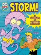 Storm!: The Origin of Aquaman's Seahorse di Steve Korte edito da STONE ARCH BOOKS
