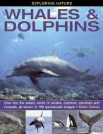 Exploring Nature: Whales & Dolphins di Robin Kerrod edito da Anness Publishing