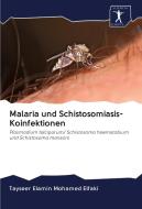 Malaria und Schistosomiasis-Koinfektionen di Tayseer Elamin Mohamed Elfaki edito da AV Akademikerverlag