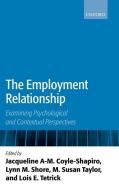 The Employment Relationship: Examining Psychological and Contextual Perspectives di Jacqueline A. -M Coyle-Shapiro edito da OXFORD UNIV PR