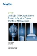 PPM! Manage Your Organization Masterfully with Project Portfolio Management di Chris Garibaldi, Jason Magill, Chris Martin edito da Lulu Publishing Services
