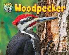 Woodpecker di Dee Phillips edito da BEARPORT PUB CO INC