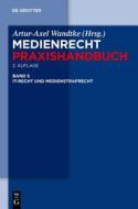 It-Recht Und Medienstrafrecht edito da Walter de Gruyter
