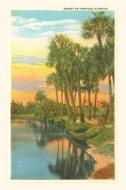 Vintage Journal Sunset, Palm Trees, Florida edito da FOUND IMAGE PR
