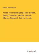 A Little Tur in Ireland: Being a Visit to Dublin, Galway, Connamara, Athlone, Limerick, Killarney, Glengarriff, Cork, etc. etc. etc. di Samuel Reynolds Hole edito da Anatiposi Verlag