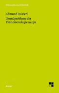 Grundprobleme der Phänomenologie 1910/11 di Edmund Husserl edito da Felix Meiner Verlag