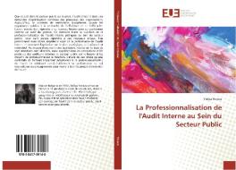 La Professionnalisation de l'Audit Interne au Sein du Secteur Public di Yuliya Toneva edito da Editions universitaires europeennes EUE