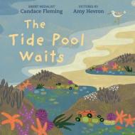 The Tide Pool Waits di Candace Fleming edito da NEAL PORTER BOOKS