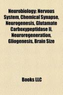 Neurobiology: Nervous System, Chemical S di Books Llc edito da Books LLC, Wiki Series