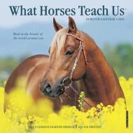 What Horses Teach Us Mini Calendar edito da Willow Creek Press