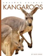 Kangaroos di Kate Riggs edito da CREATIVE ED & PAPERBACKS