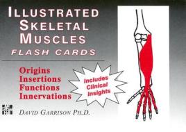 Illustrated Skeletal Muscle Flash Cards di David Garrison edito da McGraw-Hill Education - Europe
