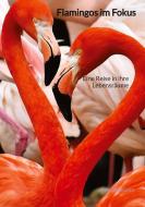 Flamingos im Fokus di Fabian Bauer edito da Jaltas Books
