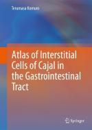 Atlas of Interstitial Cells of Cajal in the Gastrointestinal Tract di Terumasa Komuro edito da SPRINGER NATURE