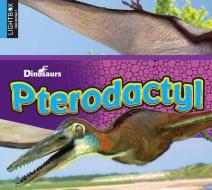 Pterodactyl di Aaron Carr edito da LIGHTBOX