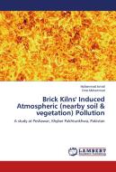 Brick Kilns' Induced Atmospheric (nearby soil & vegetation) Pollution di Muhammad Ismail, Dost Muhammad edito da LAP Lambert Academic Publishing