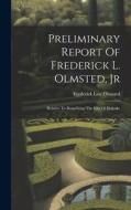 Preliminary Report Of Frederick L. Olmsted, Jr: Relative To Beautifying The City Of Holyoke di Frederick Law Olmsted edito da LEGARE STREET PR