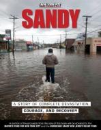 Sandy: A Story of Complete Devastation, Courage, and Recovery di New York Post edito da TRIUMPH BOOKS