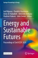 Energy And Sustainable Futures edito da Springer Nature B.V.
