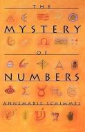 The Mystery of Numbers di Annemarie Schimmel edito da Oxford University Press Inc