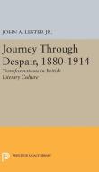 Journey Through Despair, 1880-1914 di John Ashby Lester edito da Princeton University Press
