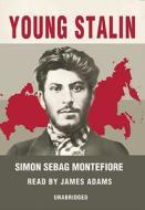 Young Stalin [With Headphones] di Simon Sebag Montefiore edito da Findaway World