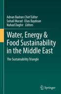 Water, Energy & Food Sustainability In The Middle East edito da Springer International Publishing Ag
