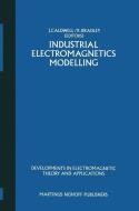 Industrial Electromagnetics Modelling edito da Springer Netherlands