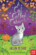 A Cat Called Cobweb di Helen Peters edito da Nosy Crow Ltd