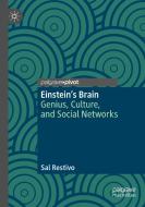 Einstein's Brain di Sal Restivo edito da Springer International Publishing