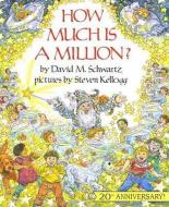 How Much Is a Million? di David M. Schwartz edito da PERFECTION LEARNING CORP