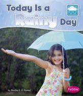 Today Is a Rainy Day di Martha Elizabeth Hillman Rustad edito da CAPSTONE PR