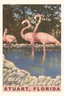Vintage Journal Flamingos, Stuart, Florida edito da FOUND IMAGE PR