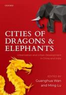 Cities Of Dragons And Elephants di Guanghua Wan edito da Oxford University Press