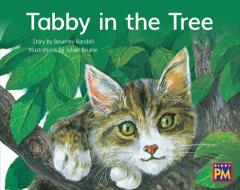 Tabby in the Tree: Leveled Reader Blue Fiction Level 10 Grade 1 edito da HOUGHTON MIFFLIN
