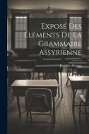 Exposé Des Éléments De La Grammaire Assyrienne di Joachim Ménant edito da LEGARE STREET PR