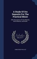A Study Of Ore Deposits For The Practical Miner di James Philip Wallace edito da Sagwan Press