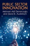 Public Sector Innovation di Mehmet Akif Demircioglu, David B. Audretsch edito da CAMBRIDGE