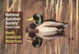 National Audubon Society Pocket Guide to Waterfowl di Richard K. Walton, National Audubon Society, Audubon edito da Knopf Publishing Group