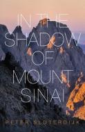 In The Shadow of Mount Sinai di Peter Sloterdijk edito da Polity Press