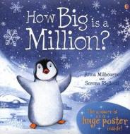 How Big Is a Million? [With Huge Poster and Envelope to Hold Poster] di Anna Milbourne edito da Usborne Books