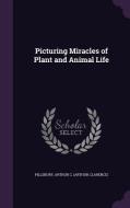 Picturing Miracles Of Plant And Animal Life di Arthur C Pillsbury edito da Palala Press