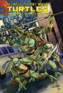 Teenage Mutant Ninja Turtles Heroes Collection di Mike Costa edito da Idea & Design Works